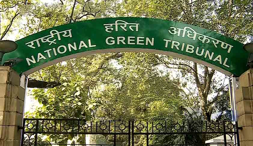 NGT asks NDMC to keep constant vigil in Azadpur, remove squatters